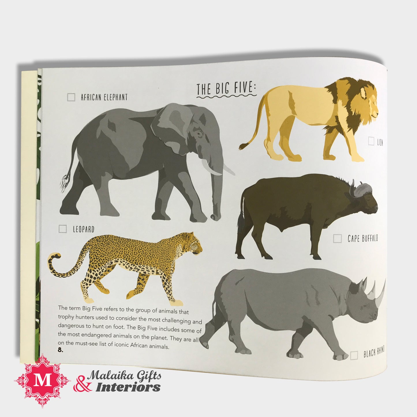 Let's Go On Safari Entertainment Book