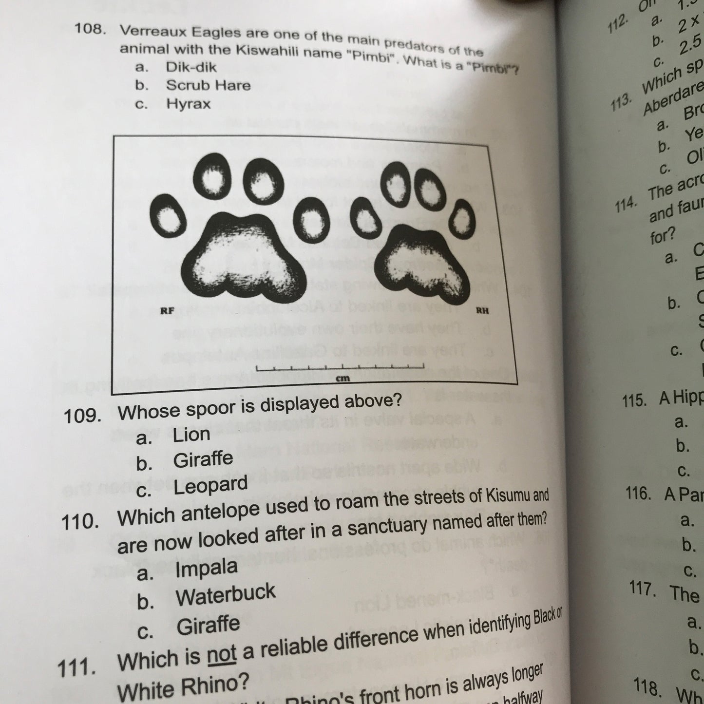 Safari Quiz Book
